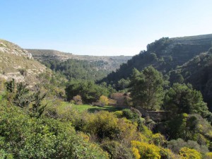 Cava Della Misericordia