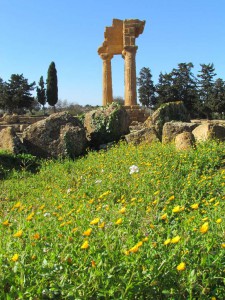 Temple of Castor and Pollux