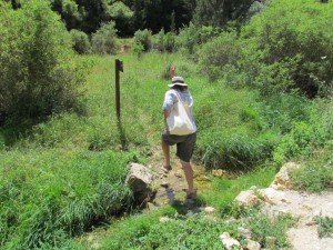 Colin leaps the babbling brook