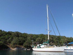 A successful tying to tree adventure