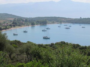 Plenty of space in Bungalow Bay
