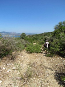 No vehicles have been down here in a long time!