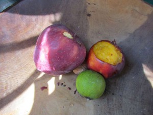 The evidence of our unwelcome guest