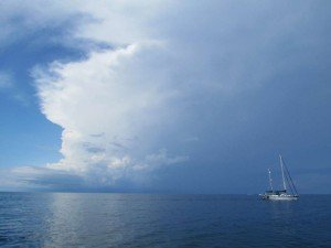 Run away from the storm!