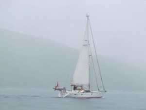 Lazy Tern, our crossing companion in the murky morn in the Ithaka Channel