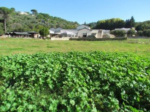 Villa Romana del Casale