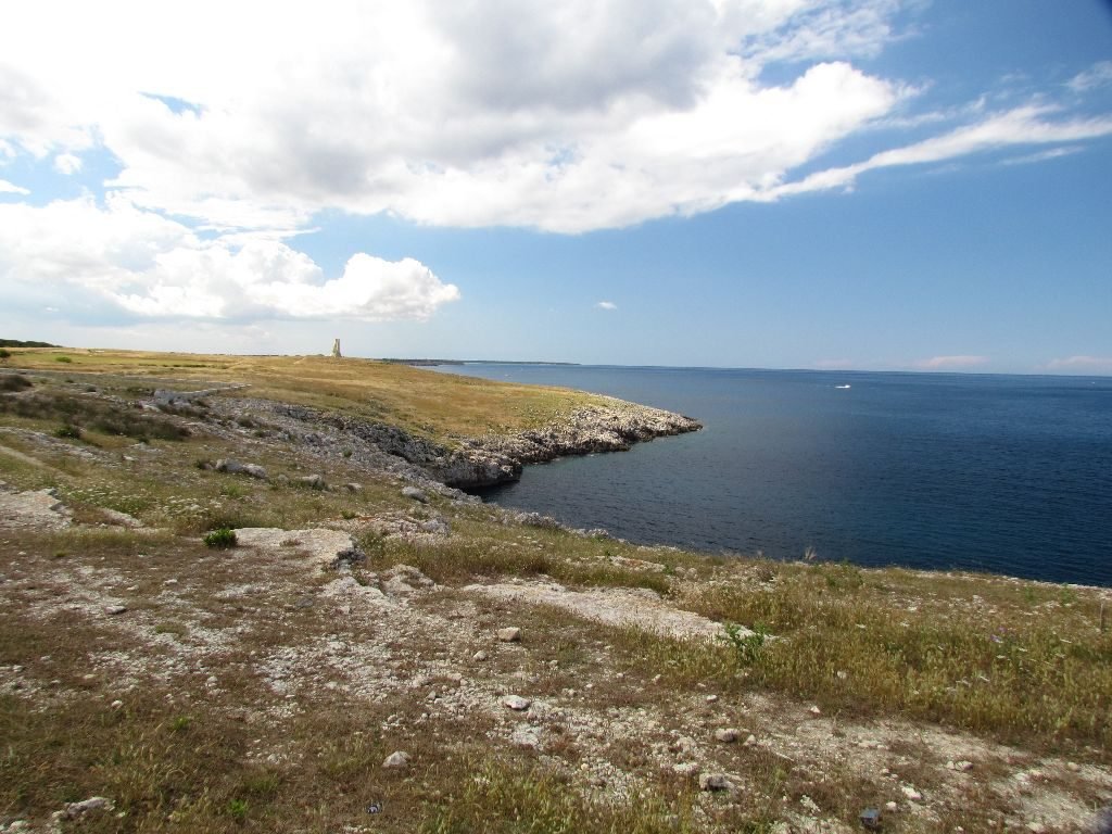 A view from our walk