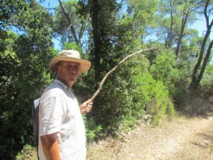 Colin and the spider stick