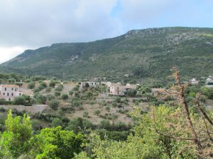 The sky looking a little ominous for our walk