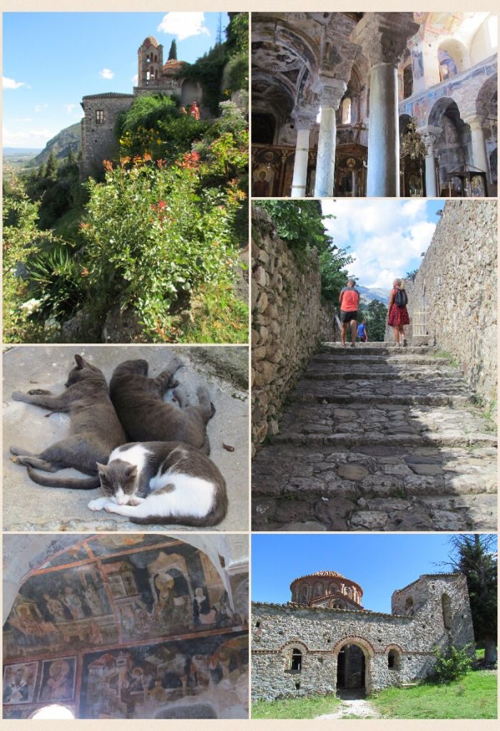 collage-2016-10-31-17_47_07