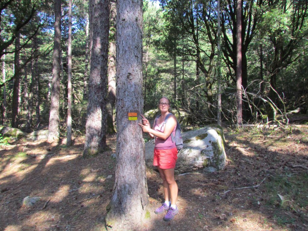 Follow the coloured stripes