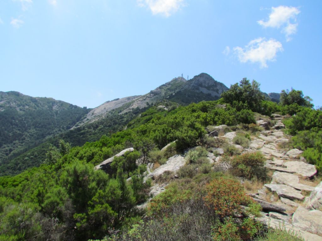 Looking back up from where we've come