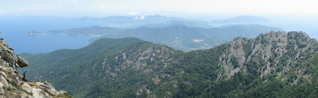 Looking east across the island