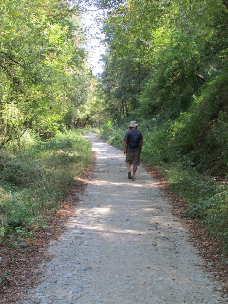 Easy walking along the RTE