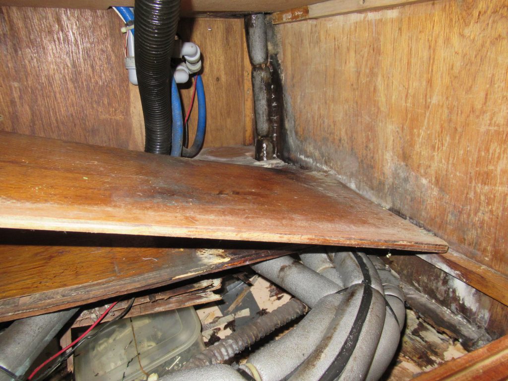looking into the galley cupboard on a boat showing mold and rotten wood